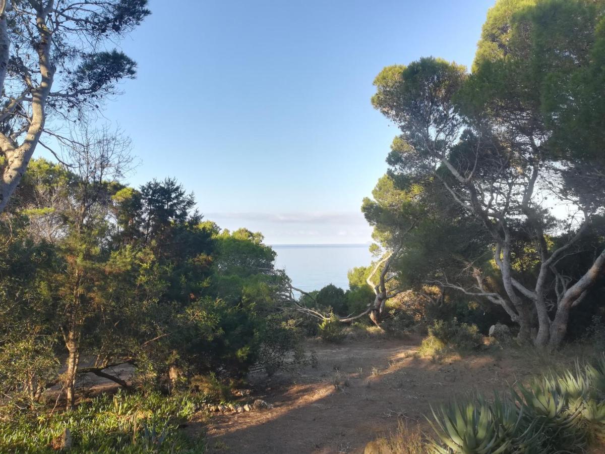 Villa Buonumore Porto Pino Exterior foto